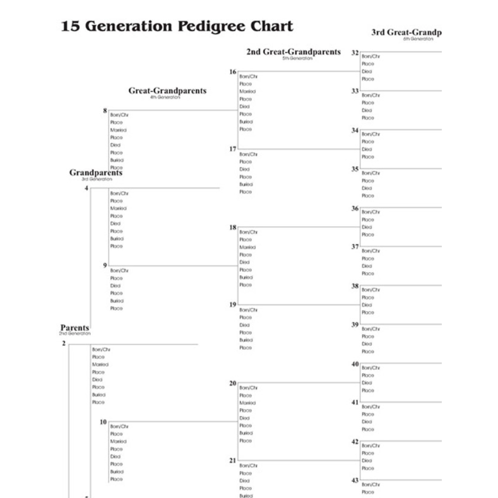 12 Generation Pedigree Chart Single In LDS Temple Gifts On LDSBookstore 12 Generation Pedigree Chart Single In LDS Temple Gifts On LDSBookstore