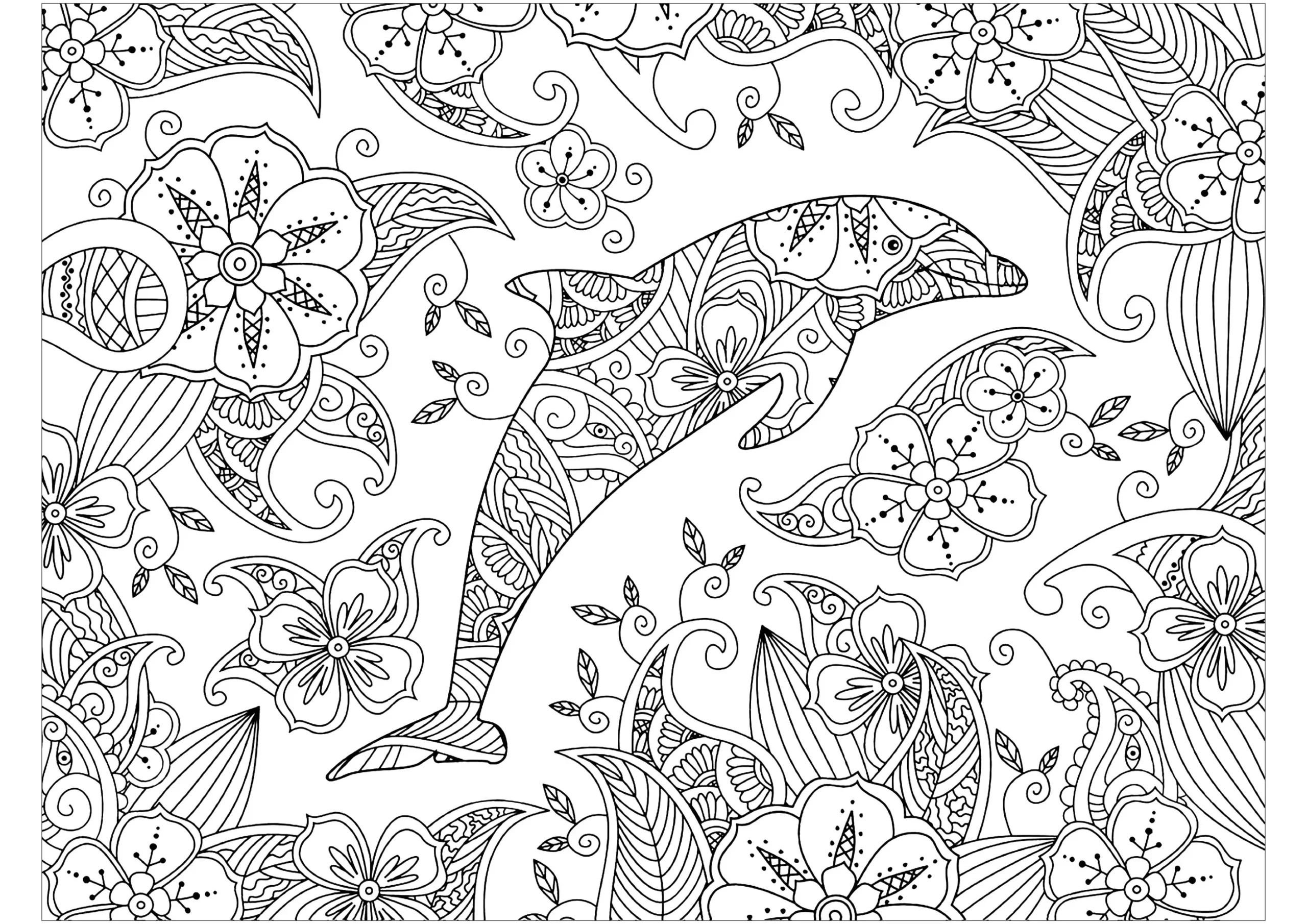 Patterned Dolphin Coloring Sheets Adults Printable Patterned Dolphin Coloring Sheets Adults Printable