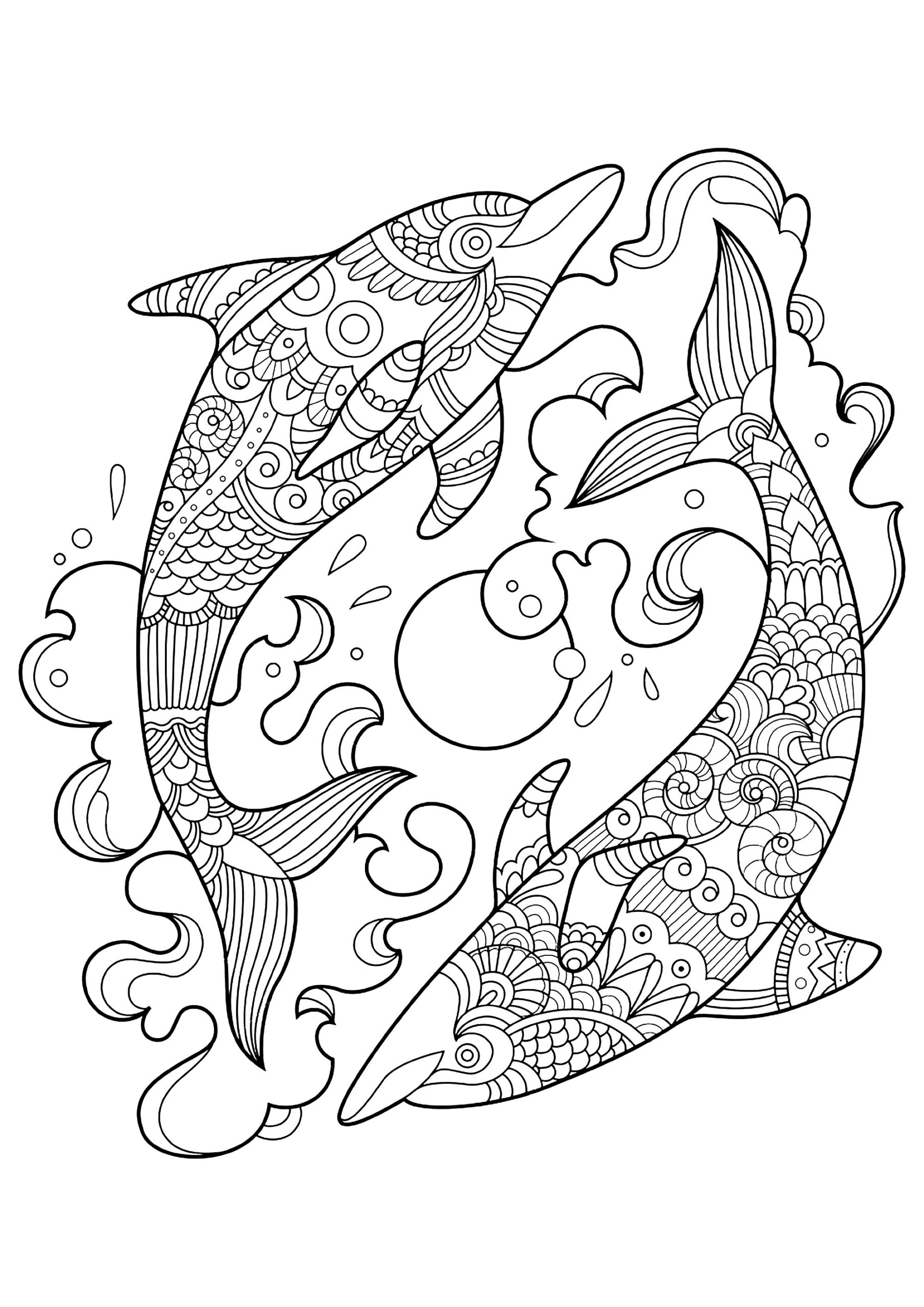 Two Dolphins In The Ocean Dolphin Coloring Pages For Adults Two Dolphins In The Ocean Dolphin Coloring Pages For Adults