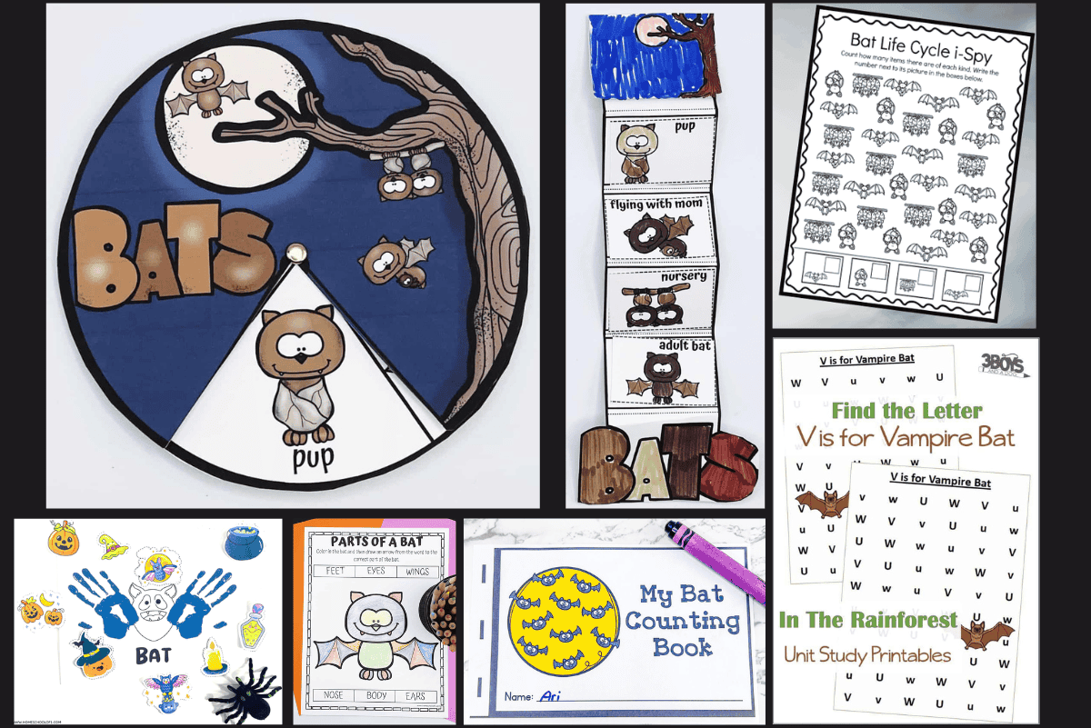 17 Free Printable Bat Worksheets For Kids