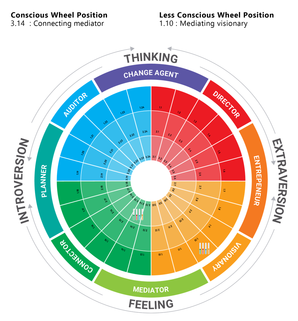 4 Color Personality Wheel TestGroup