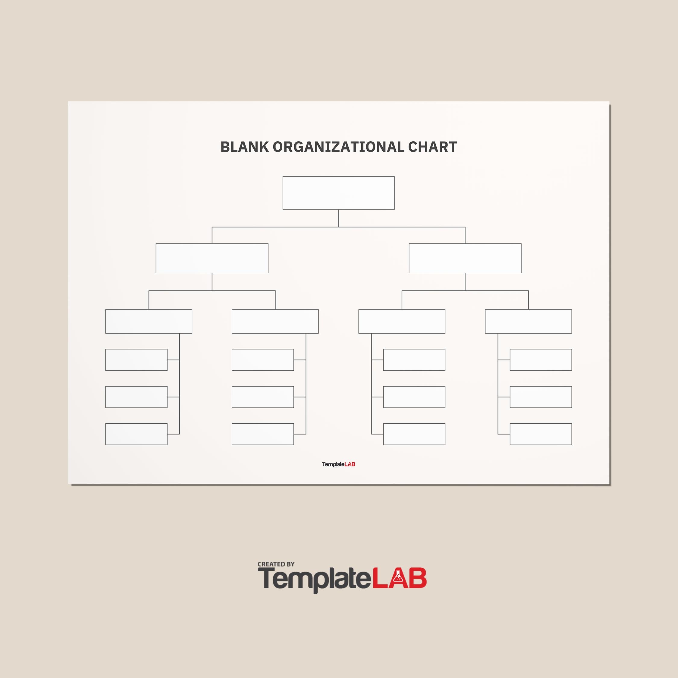 Free Printable Organization Charts