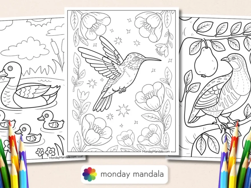 50 Bird Coloring Pages Free PDF Printables