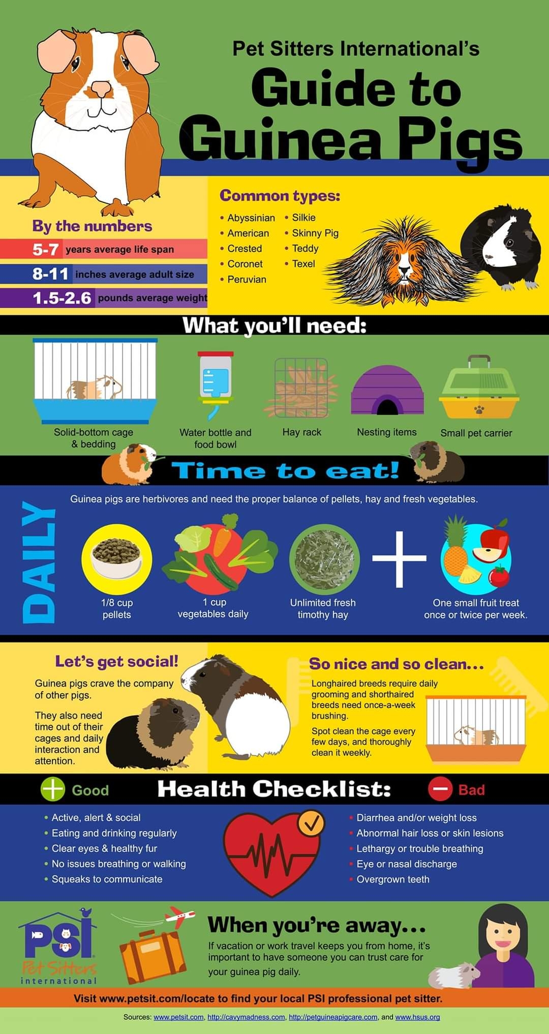 Above And Beyond Guinea Rescue Serving Los Angeles And Orange County