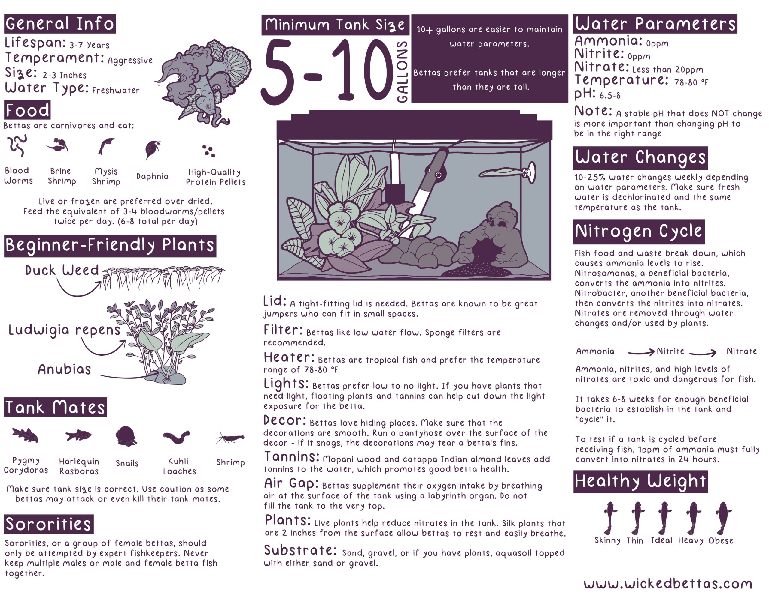After Receiving Great Feedback Last Time I Made An Updated Betta Care Guide What Do Y all Think R bettafish