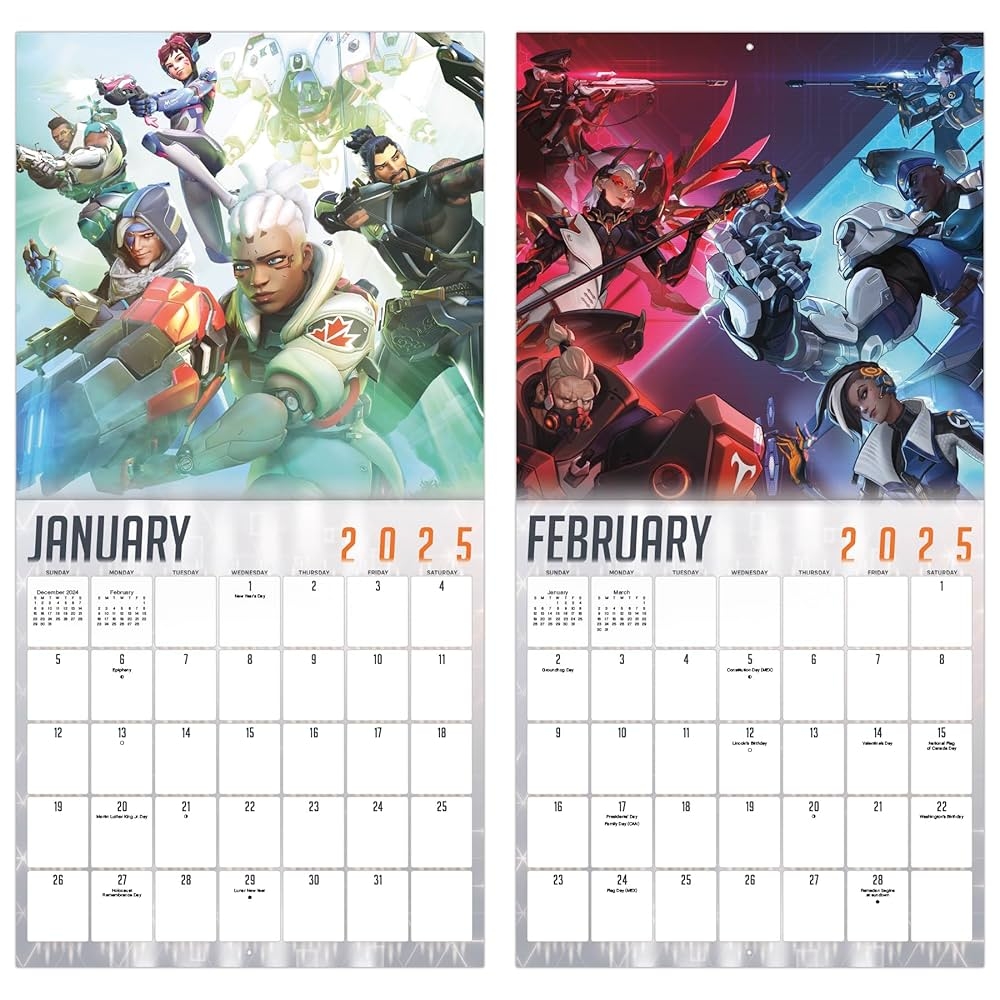 Amazon 2025 Overwatch Wall Calendar 9798888281901 Trends International Books