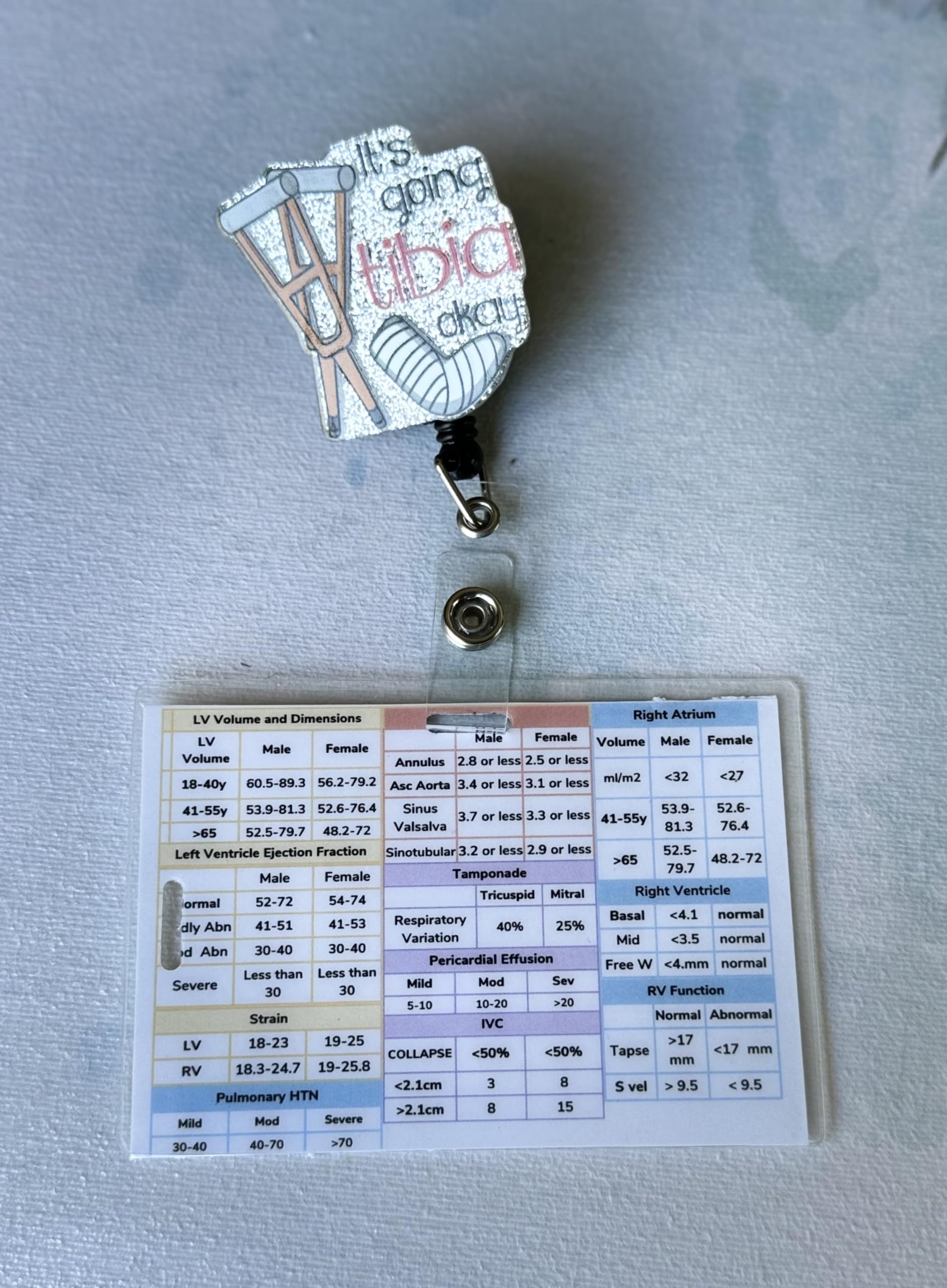 Amazon Echo Badge Guide Quick Reference Cheat Sheet Guidelines Office Products