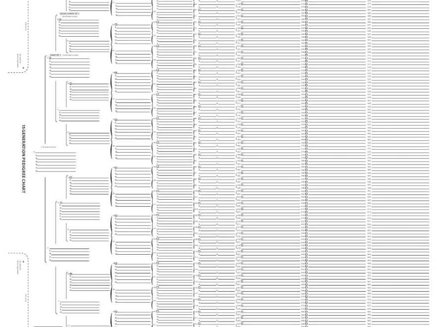 Amazon TreeSeek 15 Generation Pedigree Chart Blank Genealogy Forms For Family History And Ancestry Work Office Products