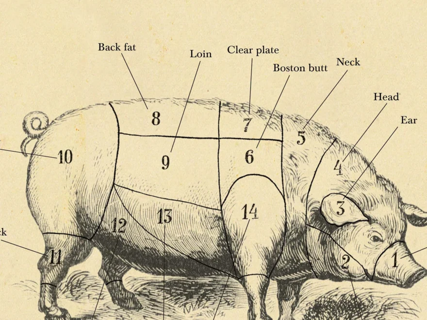 AMERICAN Pork Butcher Chart Cuts Of Meat Etching Style Print Farm Animal Decor Etsy
