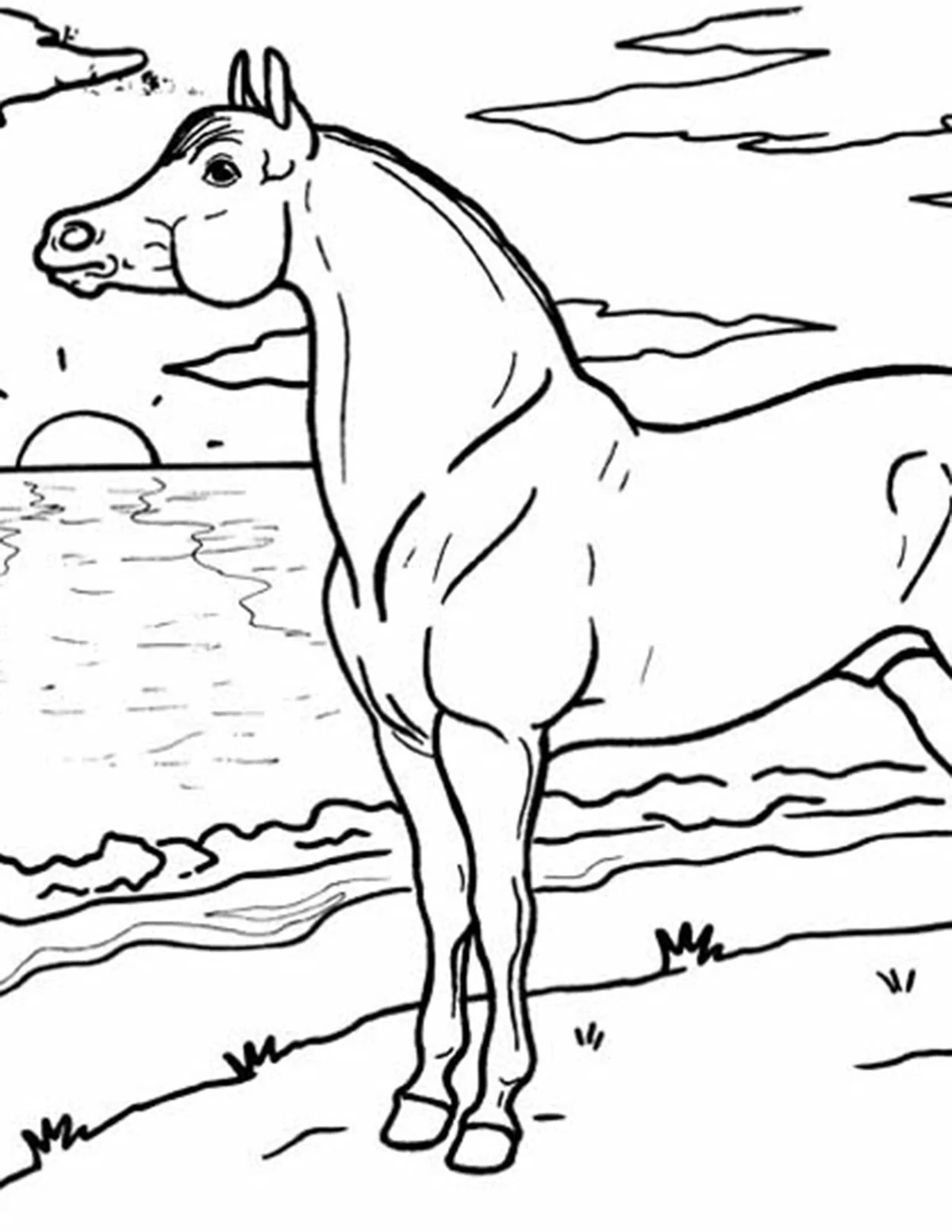 Breyer Horse Model Coloring Sheets Printable