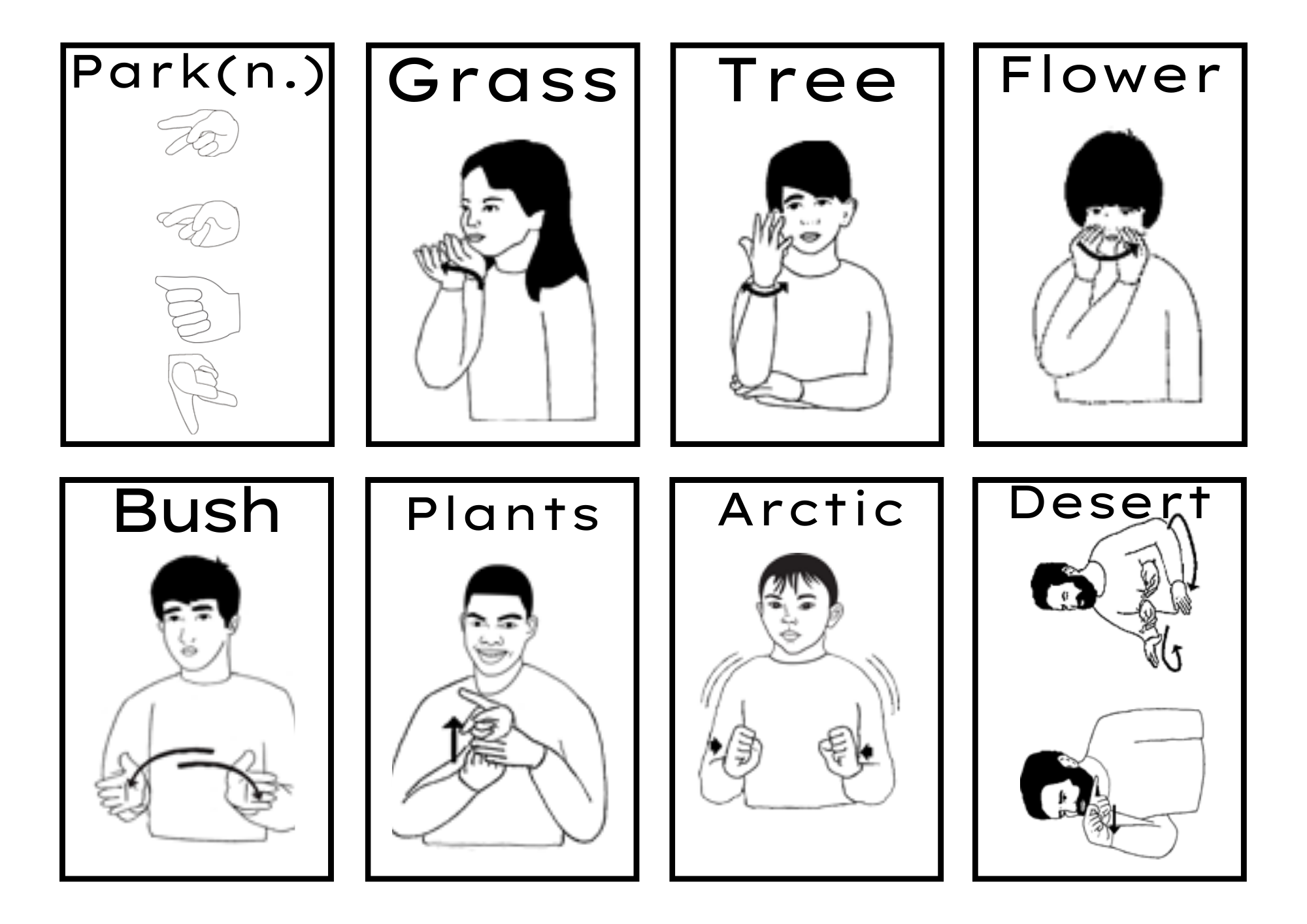ASL Basic Vocabulary Flashcard Pack 3 Made By Teachers