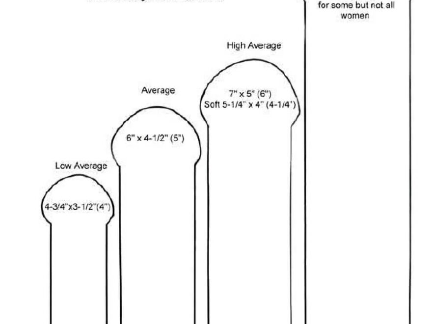 Average Penis Size And Length Chart SexualDiversity Org