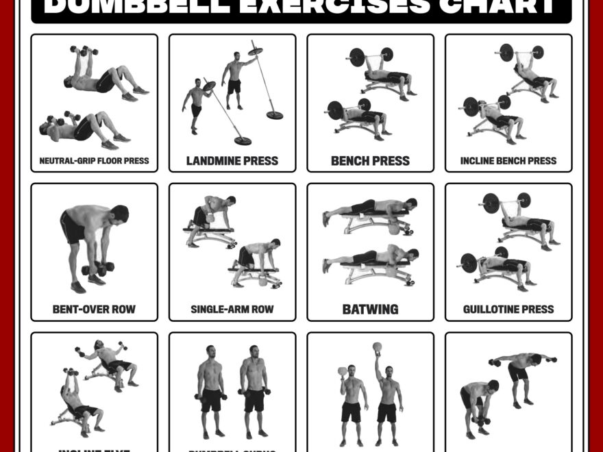 Bench Press Pyramid Pyramid Reps Workout Bench Workout Chart New Arrivals