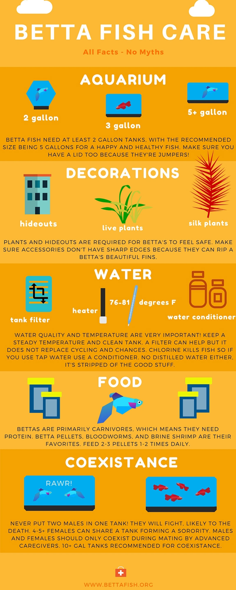 Betta Fish Care How To Take Care Of A Betta Bettafish