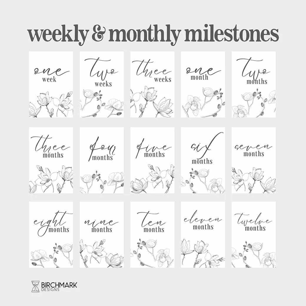 Bianca Printable Baby Milestone Cards Birchmark Designs