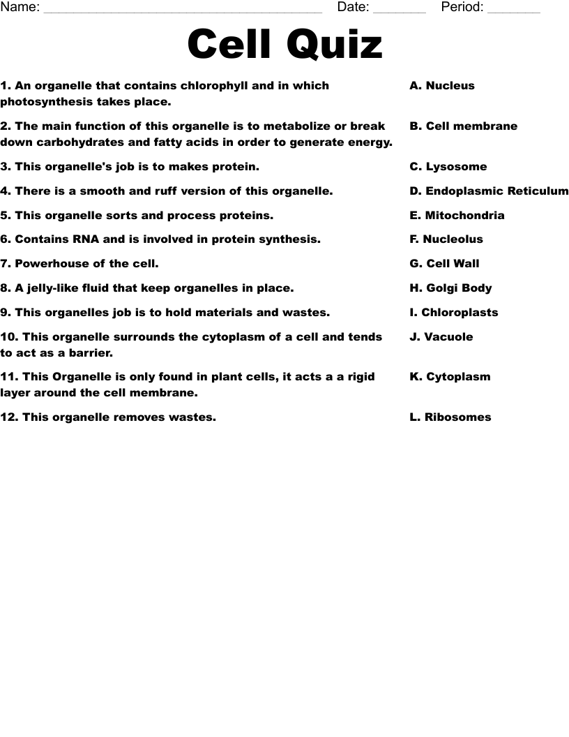Cell Quiz Worksheet WordMint Cell Quiz Worksheet WordMint