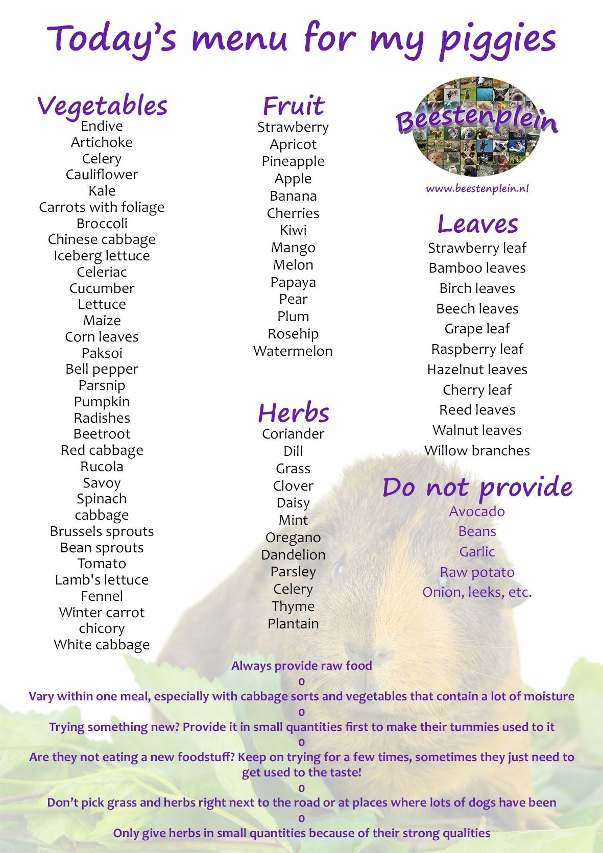 Chart Skinny Pig Food Food Chart Guinea Pig Food List Printable What Vegetables Are Good