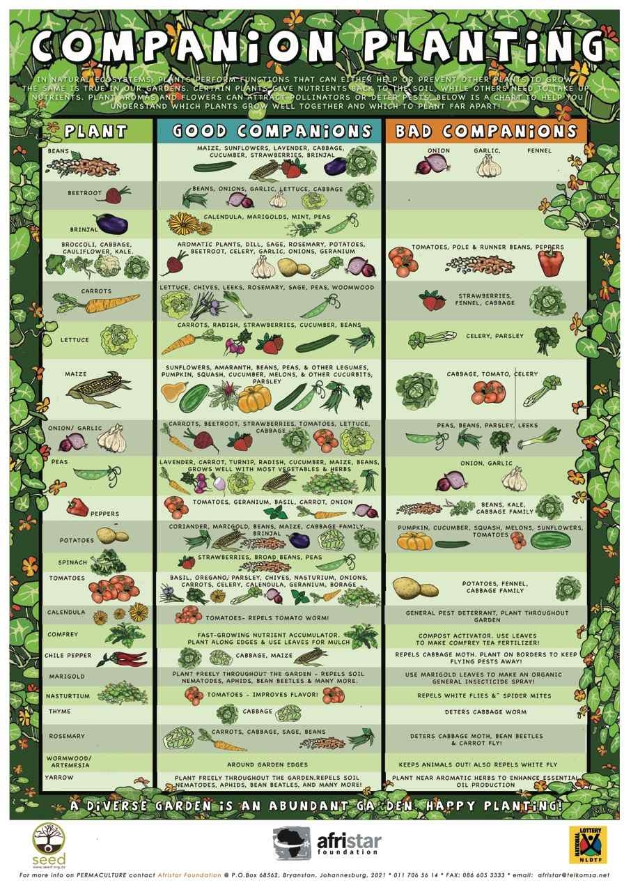 Planting Chart Free Printable