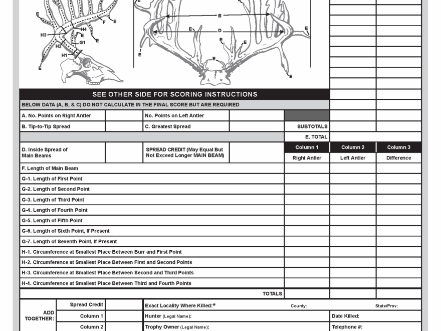 Download B C Score Chart PDFs Boone And Crockett Club