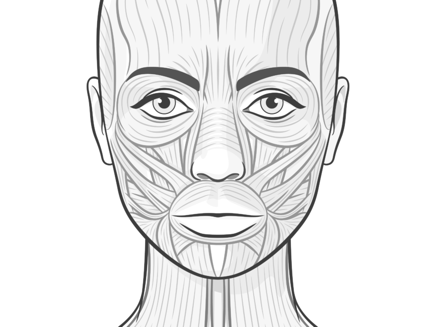 Face Charts Templates For Spas Salons And Tattoo Shops Mangomint Salon And Spa Software