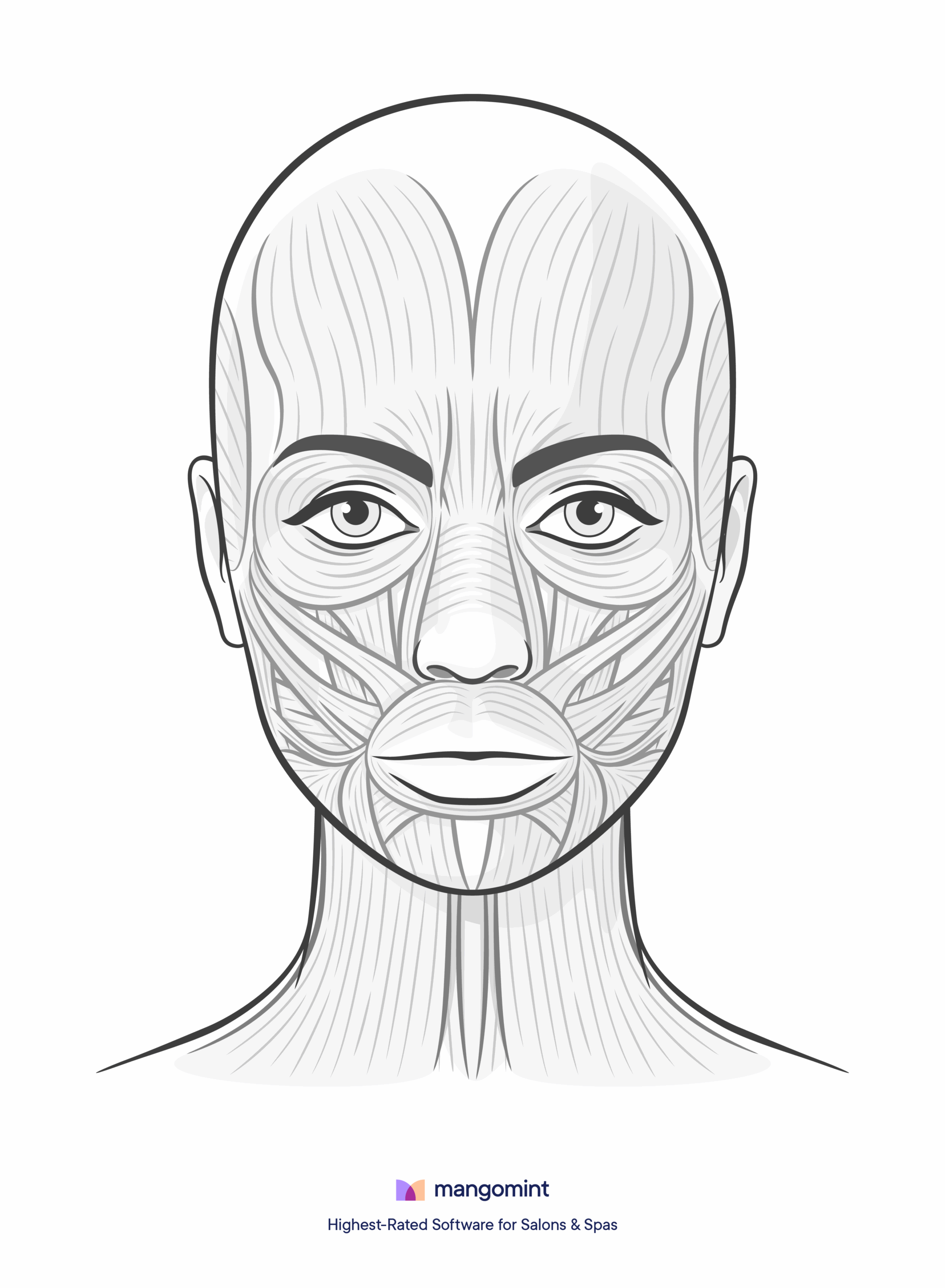 Face Charts Templates For Spas Salons And Tattoo Shops Mangomint Salon And Spa Software Face Charts Templates For Spas Salons And Tattoo Shops Mangomint Salon And Spa Software