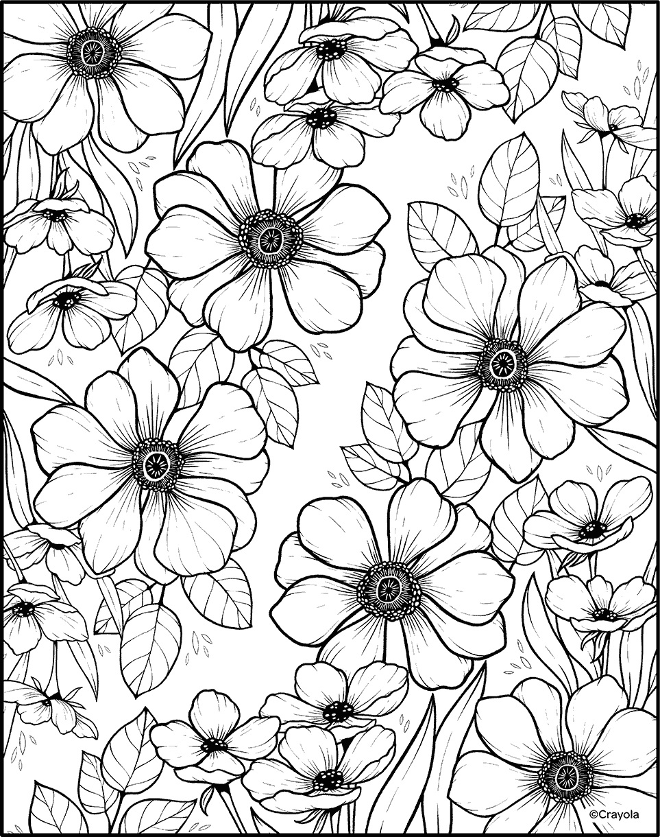 Coloring Sheets For Teens Printable