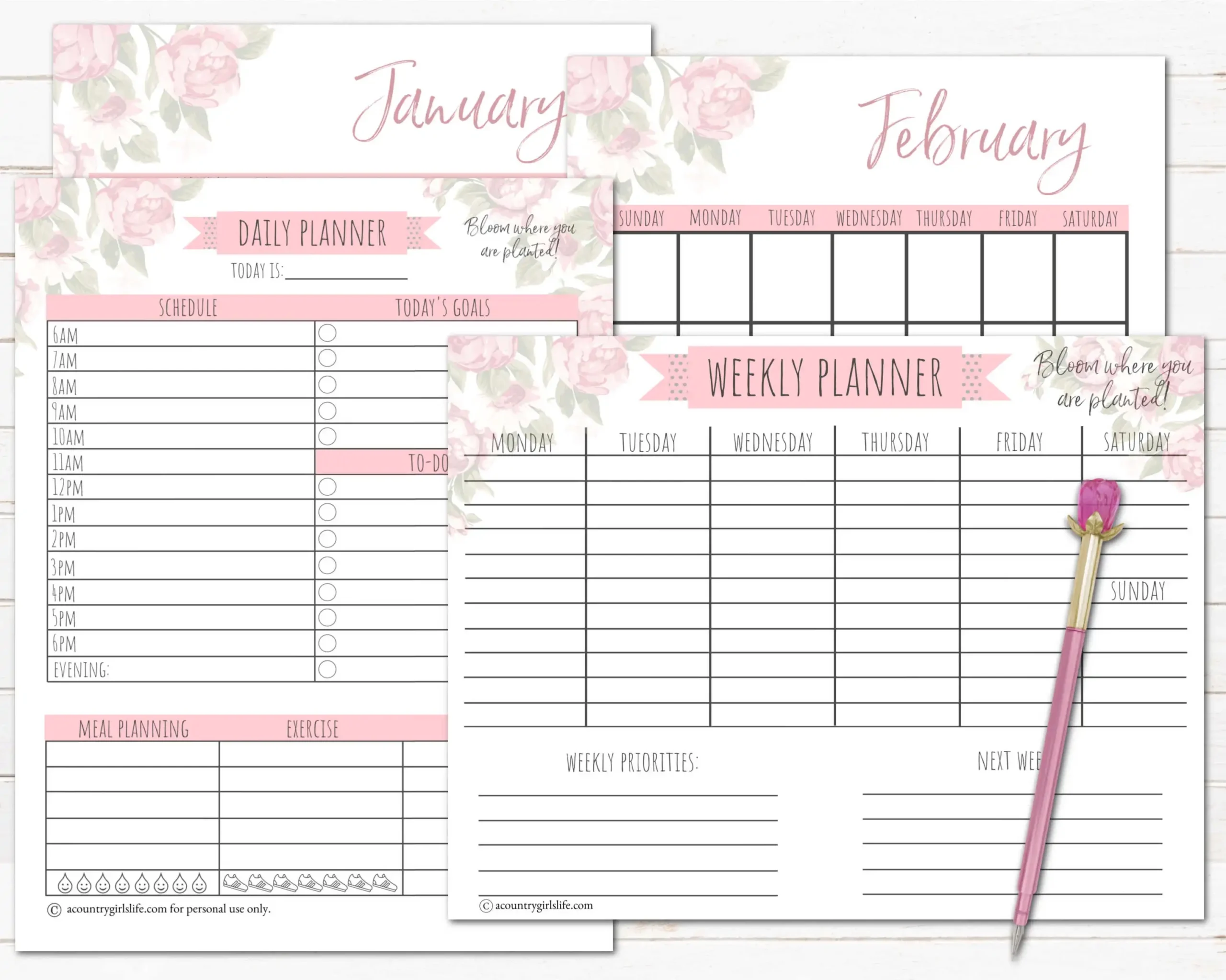 Girly Calendar And Planner Printable