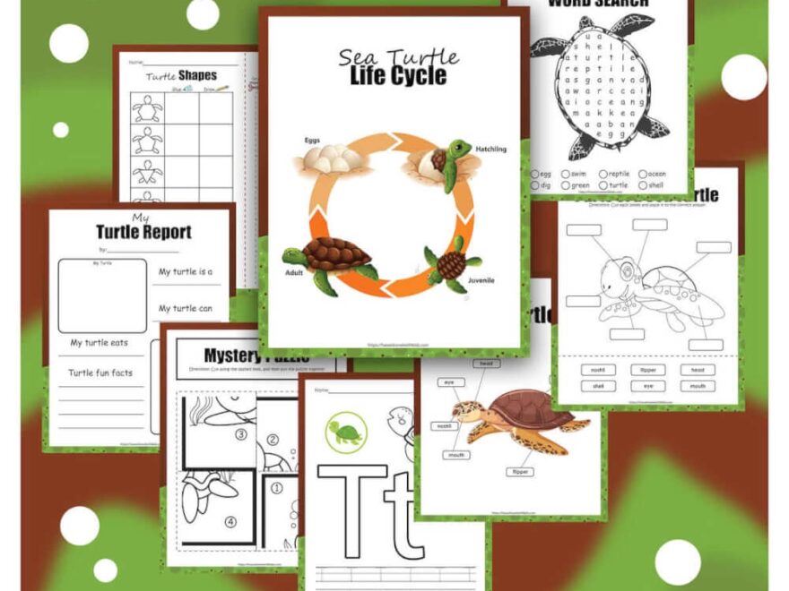 Free Printable Sea Turtle Activity Pack For Kids Hawaii Travel With Kids