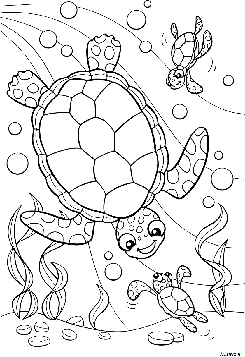 Printable Coloring Sheets Kids Turtle Printable Coloring Sheets Kids Turtle