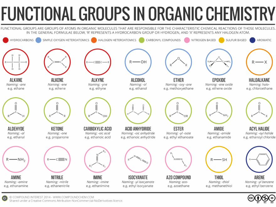 Functional Groups In Organic Chemistry Infographic Chemistry Worksheets Library
