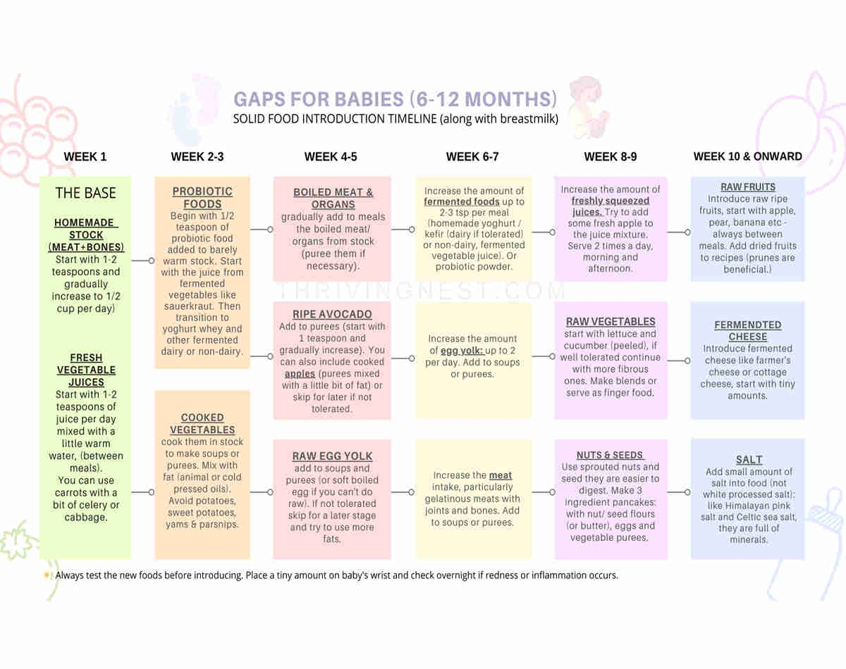 GAPS For Babies GAPS Diet Food List By Stage ThrivingNest