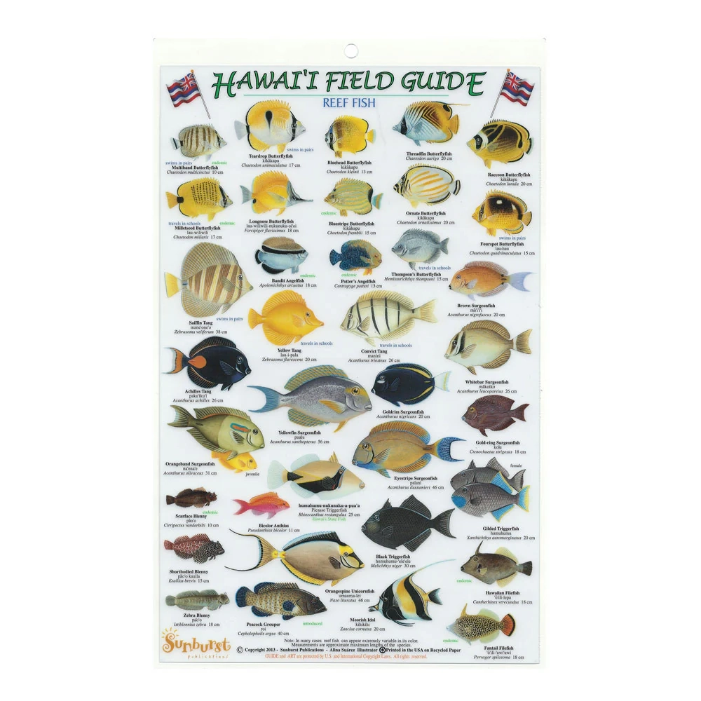 Hawai i Field Guide Reef Fish Hawaii Pacific Parks Association