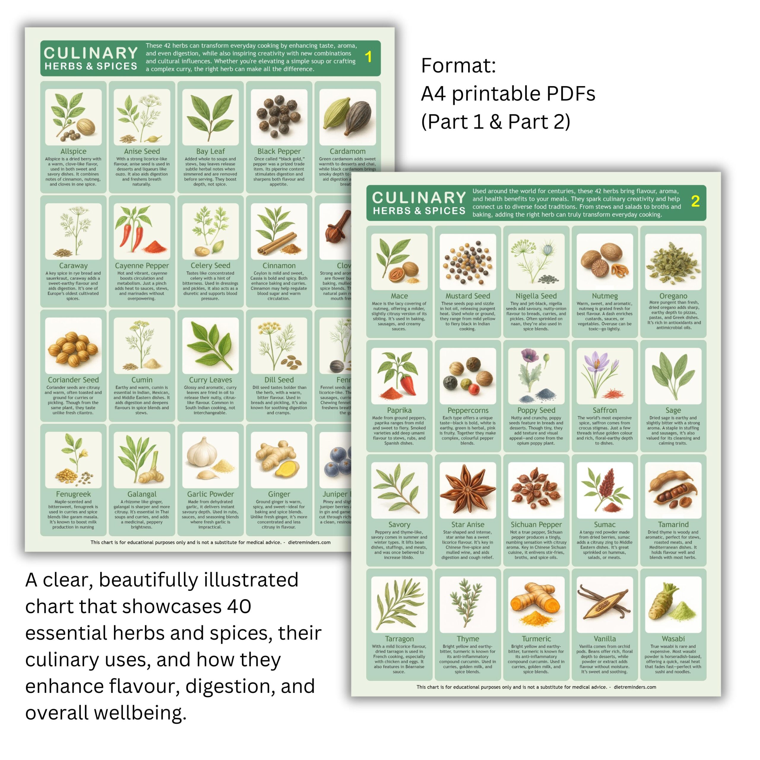 Herb And Spice Chart Printable