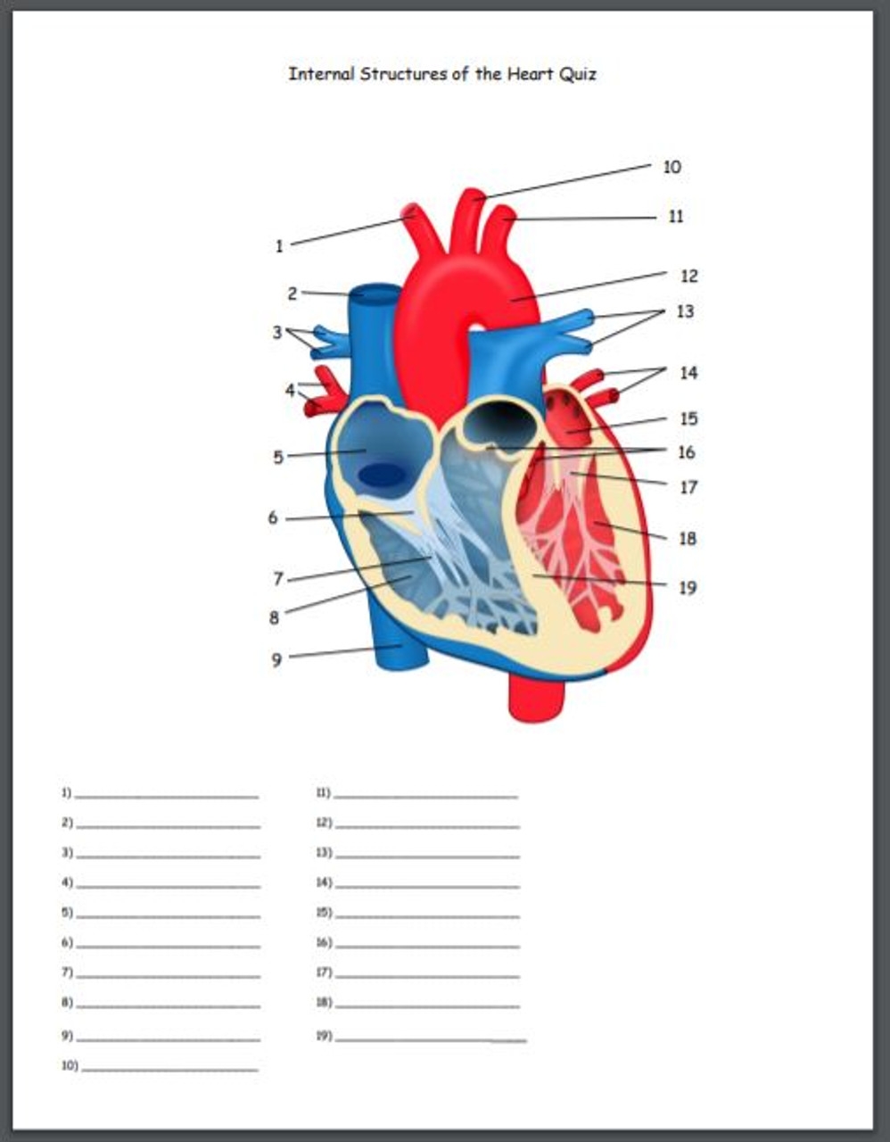 Internal Structures Of The Heart Quiz Amped Up Learning