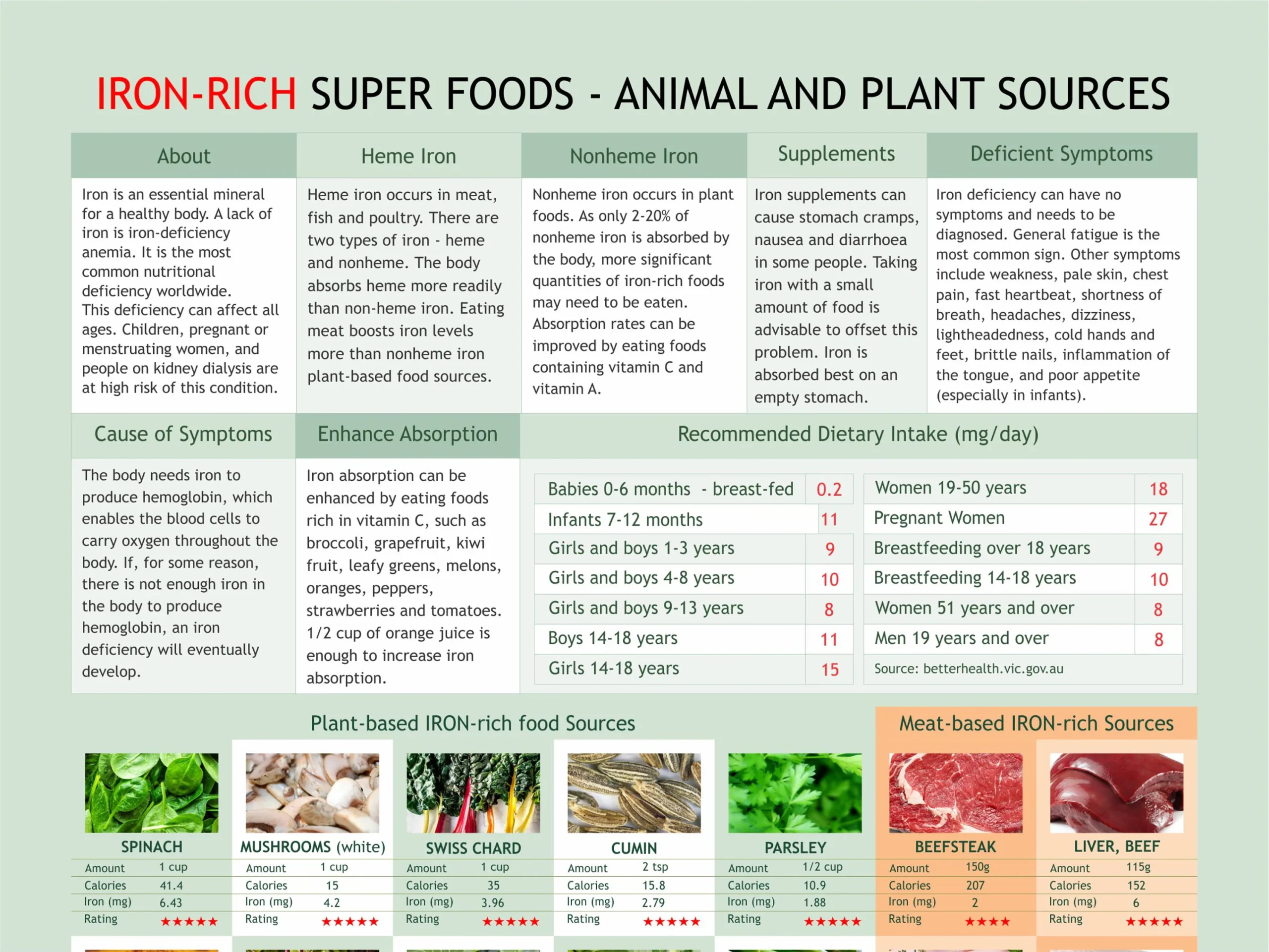 Iron Rich Foods Printable List