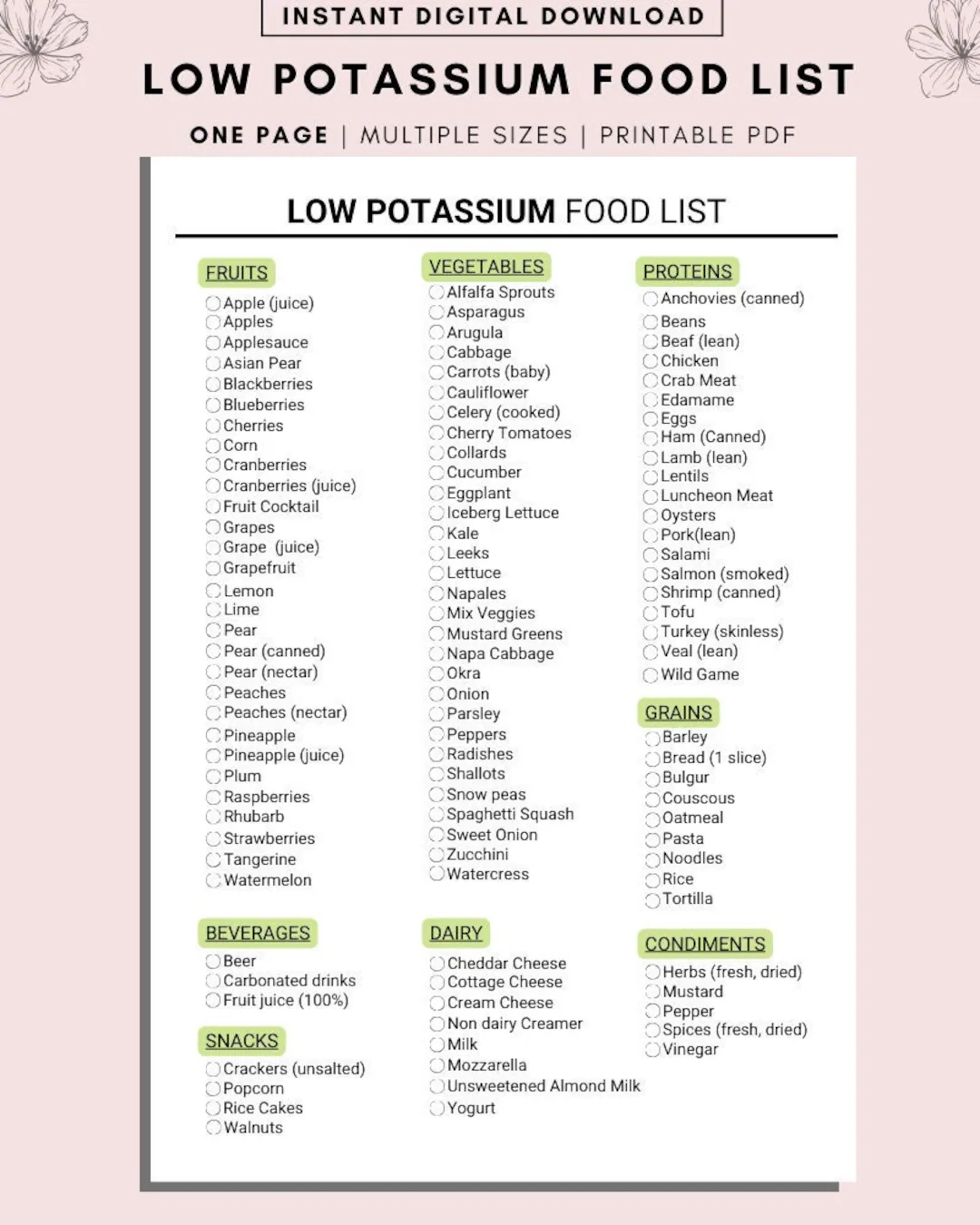 Low Potassium Food List Renal Diet Guide digital Download Etsy New Zealand