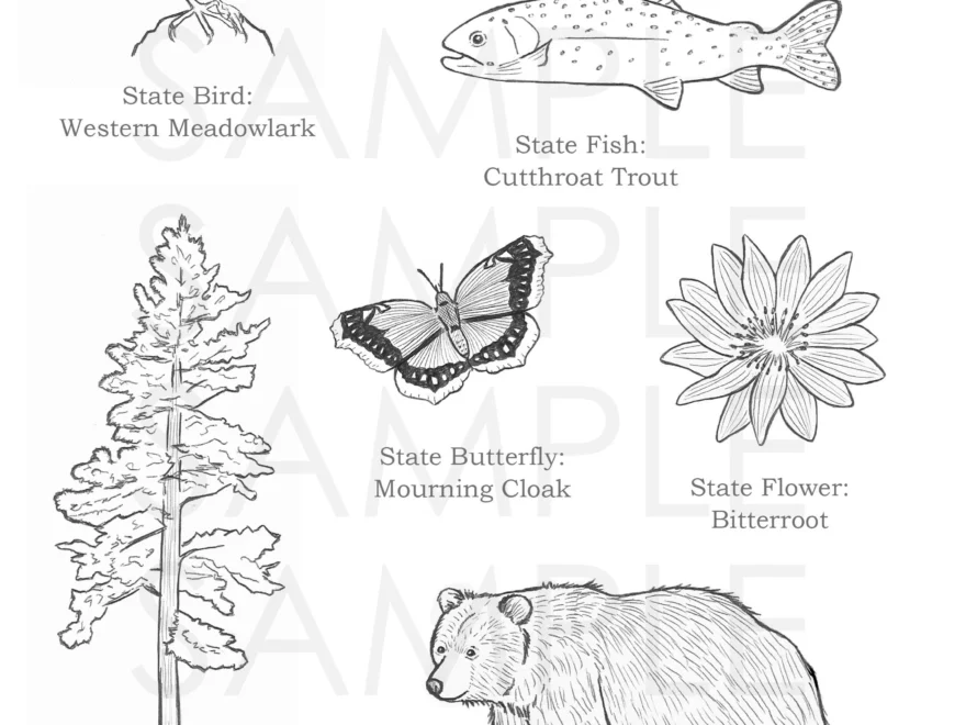 Montana Coloring Page Etsy
