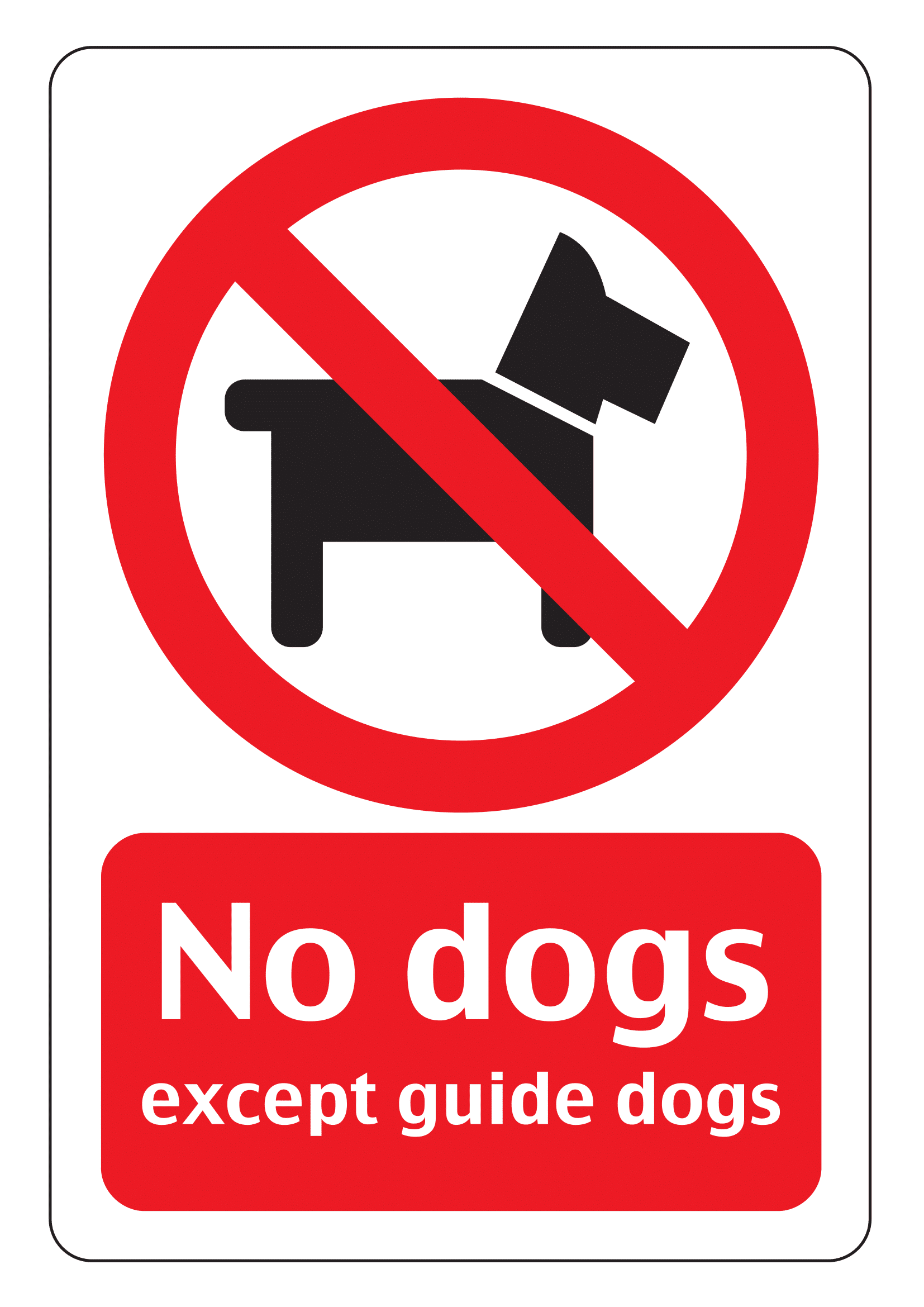 No Dog Signs Poster Template No Dog Signs Poster Template