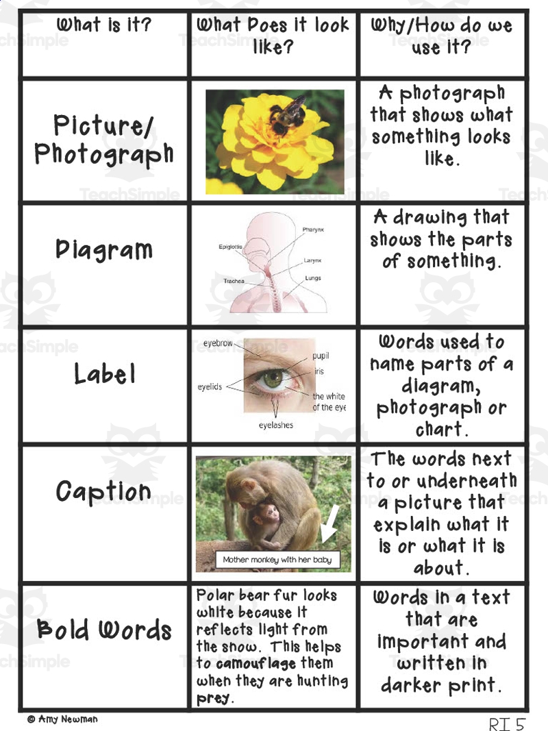 Nonfiction Text Features Anchor Chart By Teach Simple
