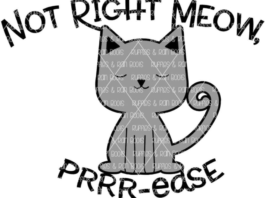 Not Right Meow Cat SVG Do Not Disturb Sign Ruffles And Rain Boots Shop