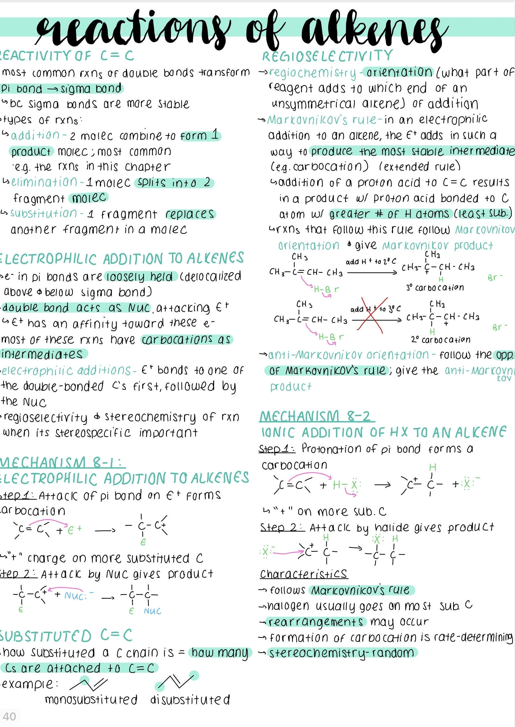 Organic Chemistry 1 Notes 40 Pages Etsy