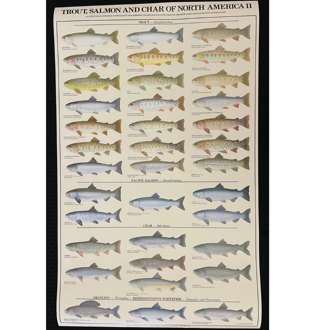 Printable Freshwater Fish Spawn Chart Printable Freshwater Fish Spawn Chart