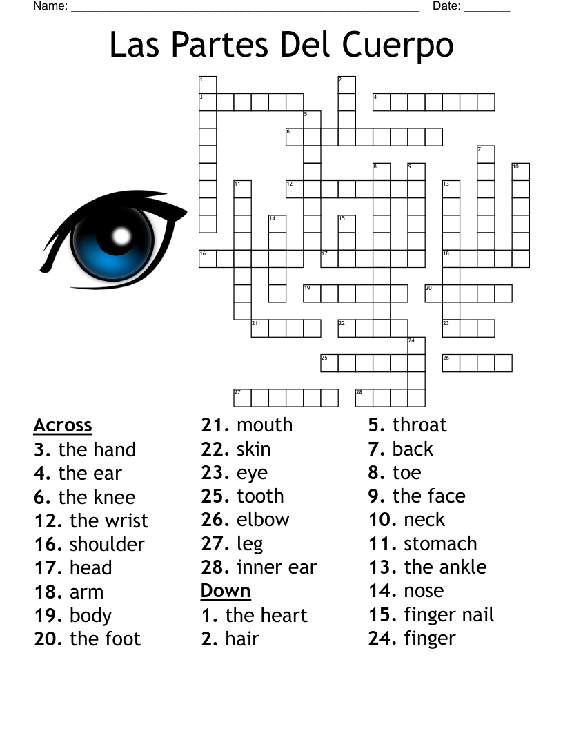 Partes Del Cuerpo Examen Worksheet WordMint