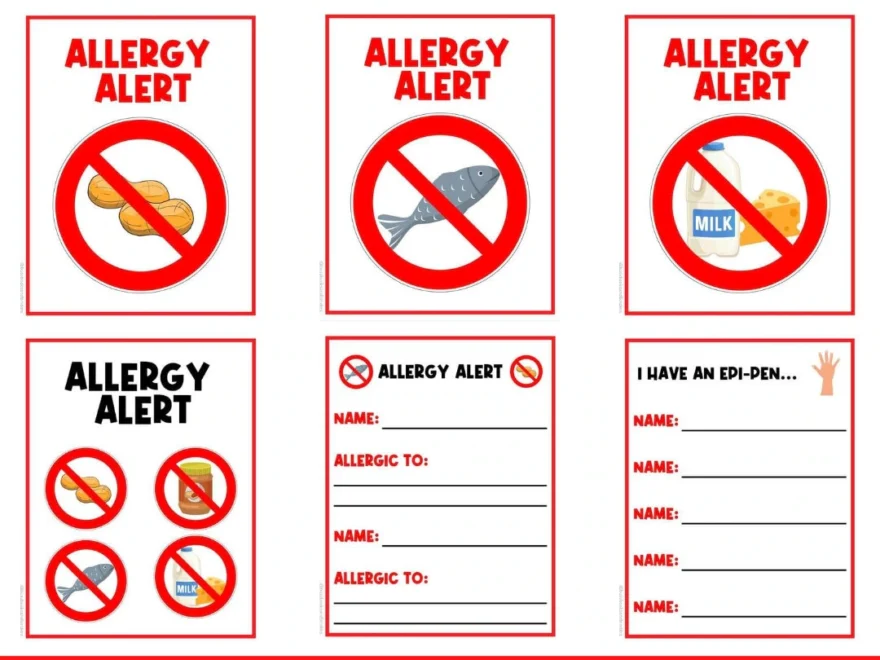 PHYSICAL COPY Allergy Alert Classroom Poster Signs Decor Visual Printable Signs Poster Label Classroom Signs Directions Etsy