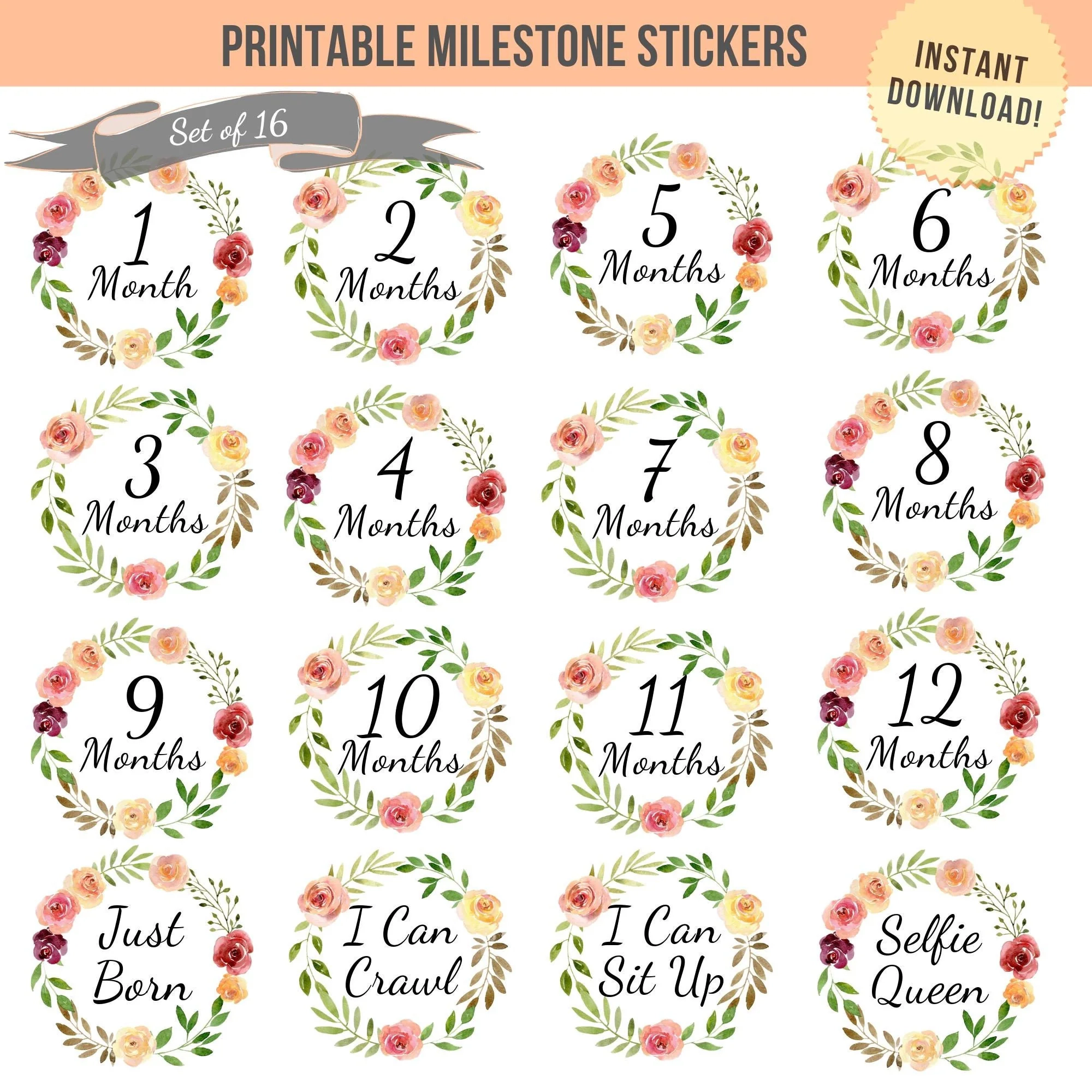 Printable Floral Wreath Baby Monthly Milestone Stickers Girl First Year Belly Month Signs 1 12 Months Cards Baby Shower Instant Download Etsy