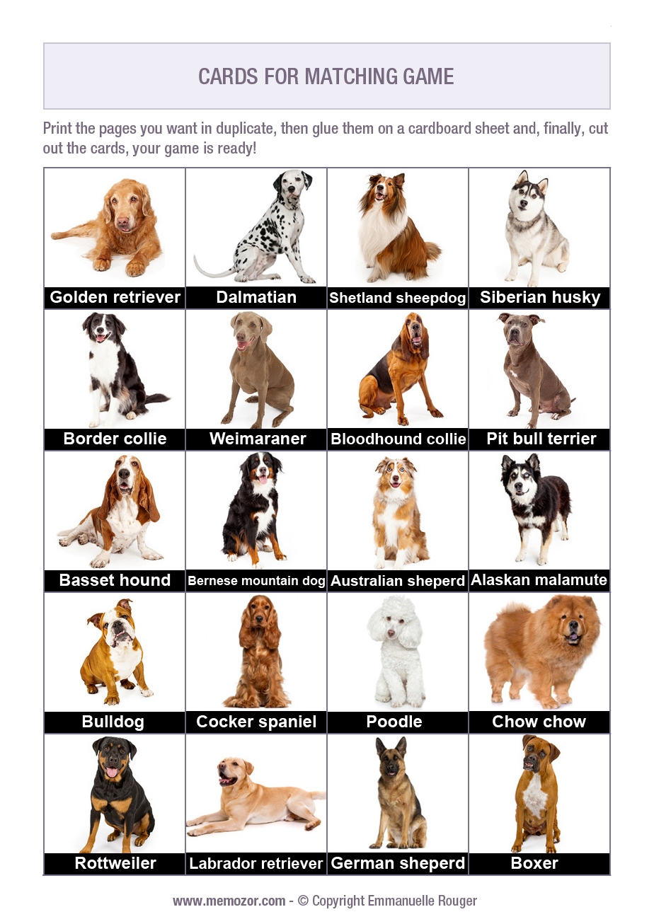Printable Matching Game For Seniors Dog Breeds Print And Cut Out The Cards Memozor