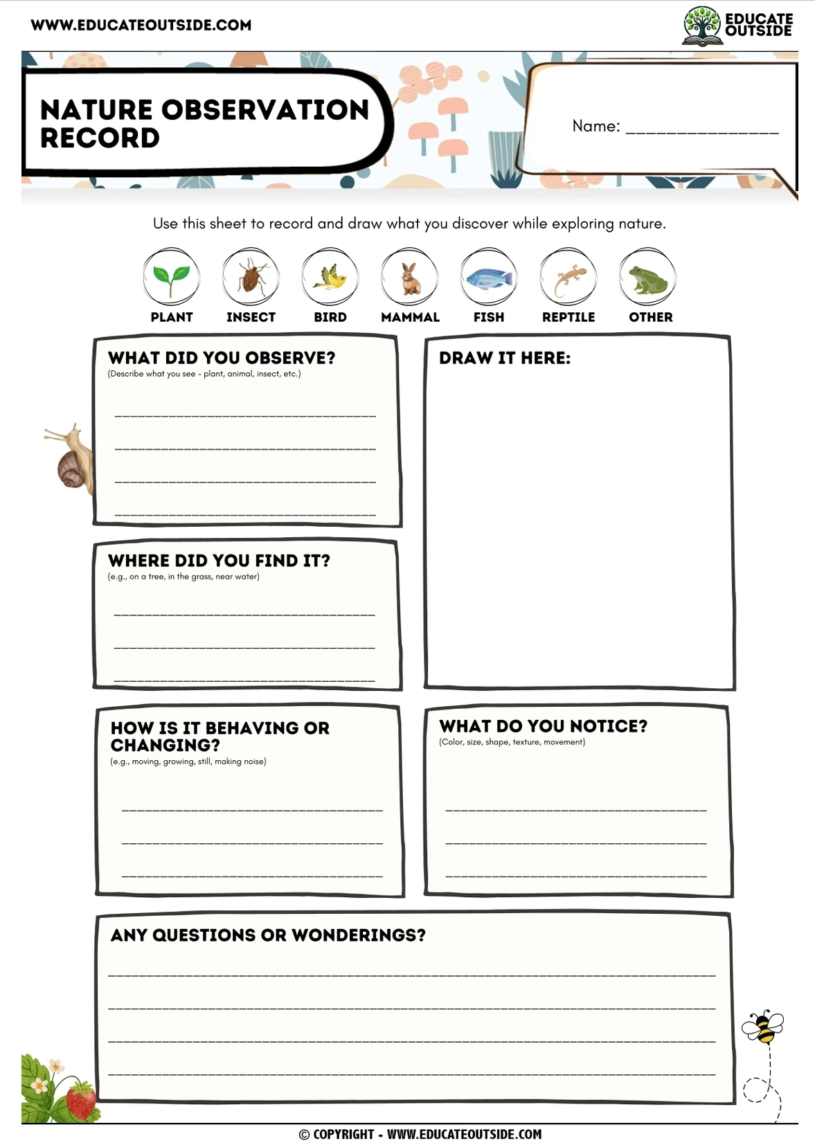 Printable Observation Sheets For Kids