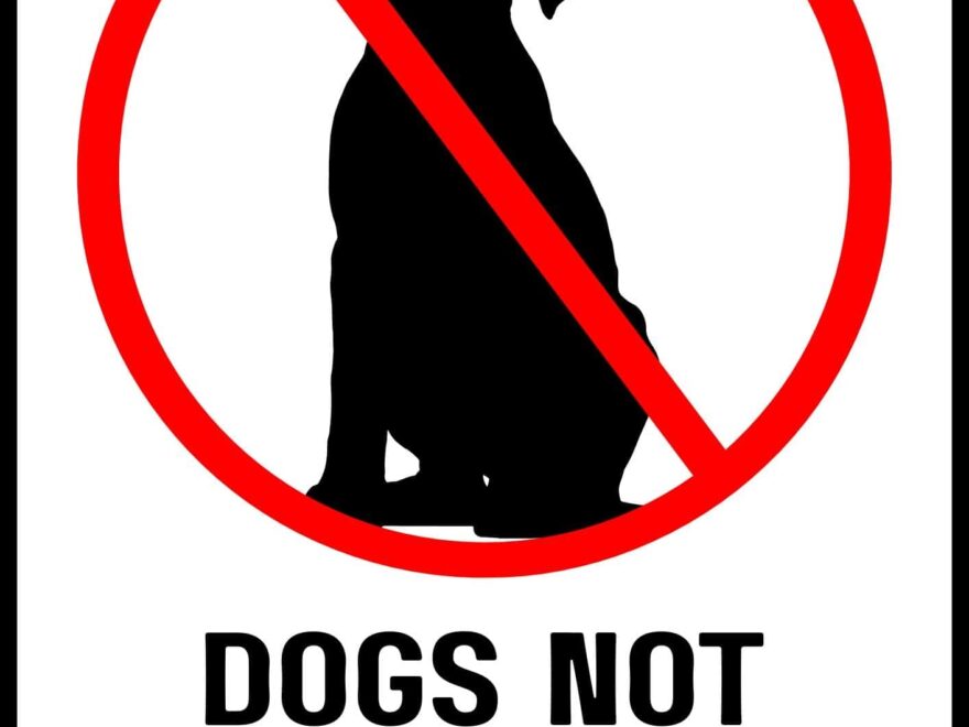 Printable No Dogs Allowed Sign Free Designs The Pink Craft Box