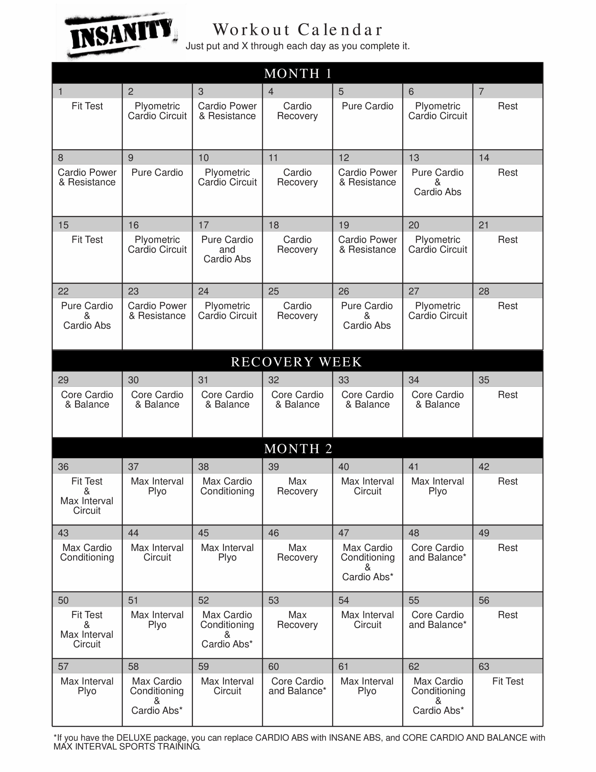 Insanity Workout Schedule Printable