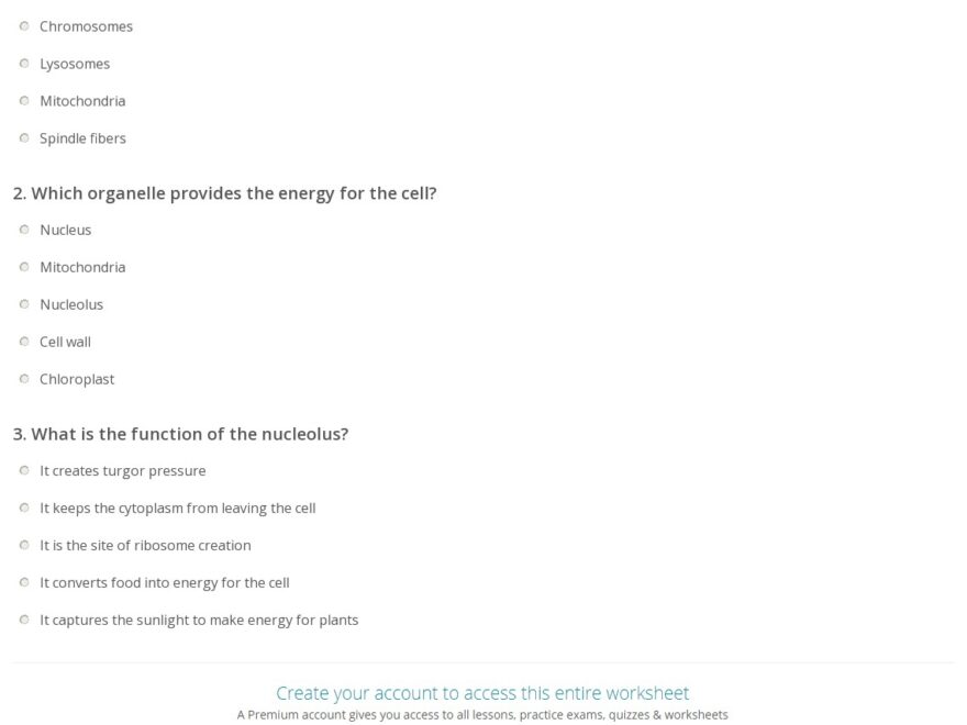 Quiz Worksheet Function Of Organelles In Cells Study